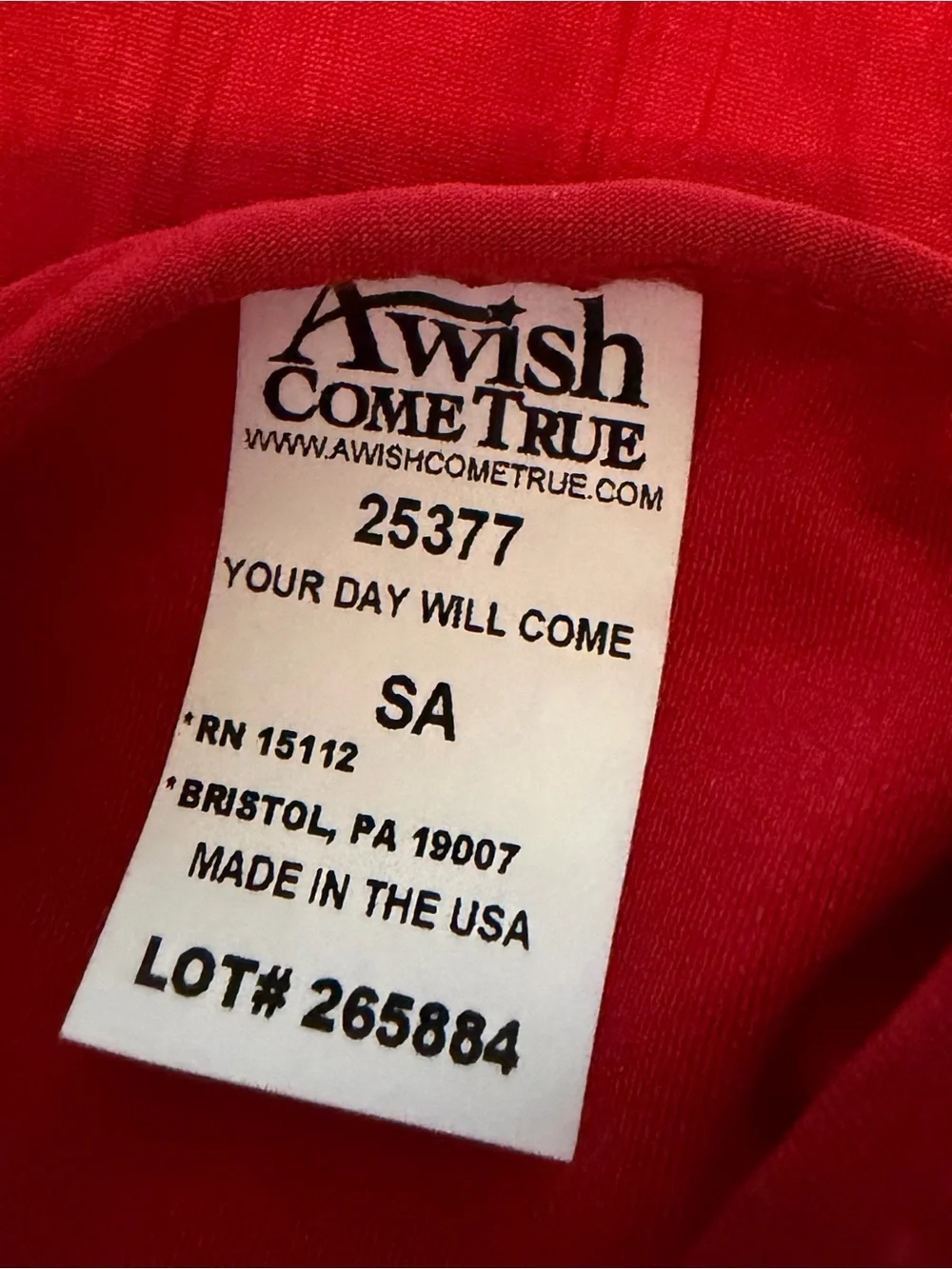 A Wish Come True “Your Day Will Come” lyrical/Contemporary Dance Costume - Picture 6 of 10